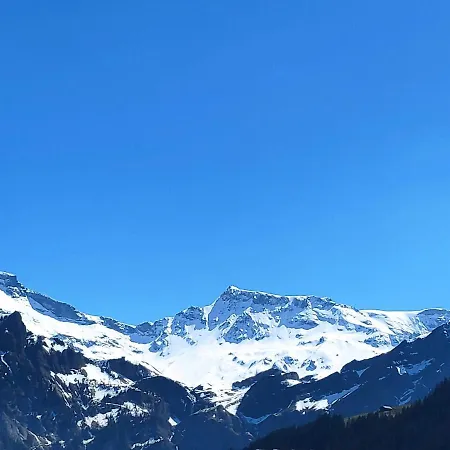 Daire Chuenislodge2- Zwei Balkone, Gemuetlicher Kamin, Aussicht Adelboden