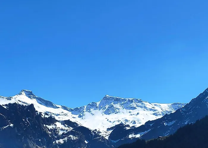 公寓 Chuenislodge2- Zwei Balkone, Gemuetlicher Kamin, Aussicht 阿德尔博登